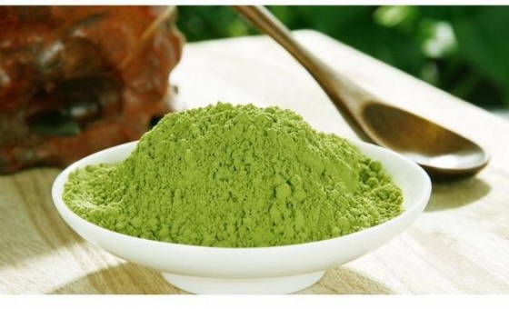 4118云顶集团·(中国)股份有限公司